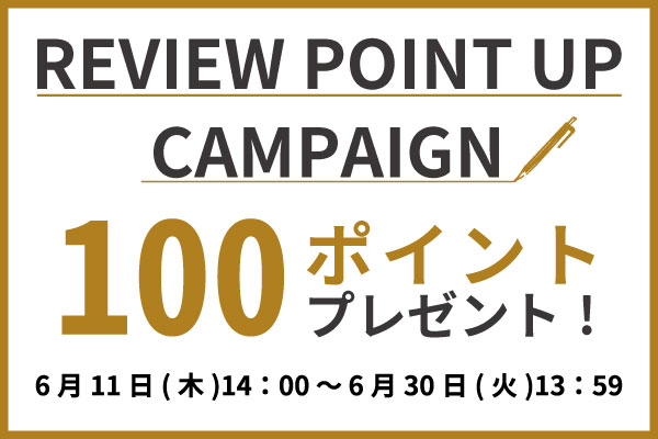 レビューキャンペーン.jpg
